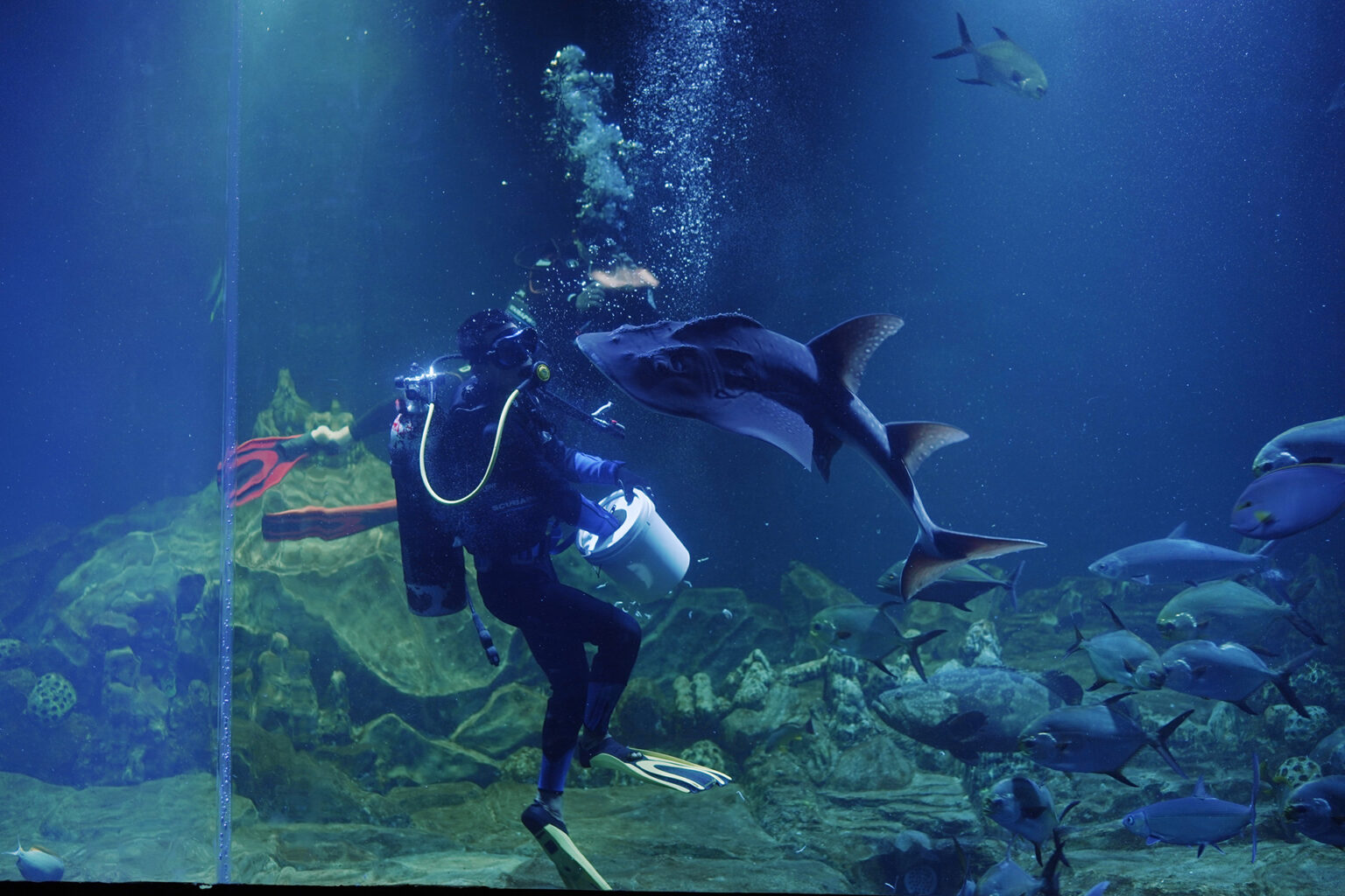Aquarium Indonesia Pangandaran foto 3