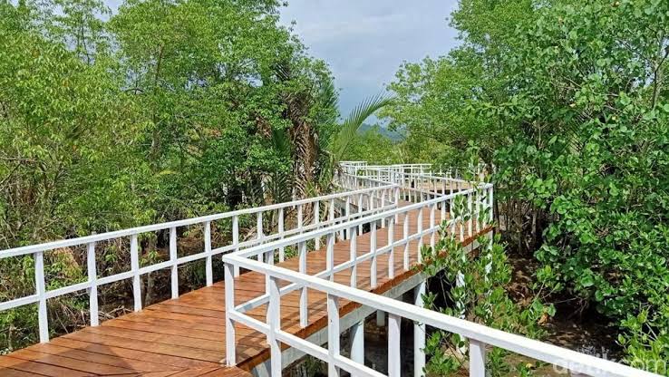 SFV Babakan (Ekowisata Mangrove) foto 3