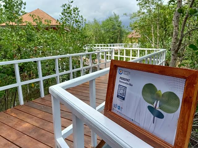 SFV Babakan (Ekowisata Mangrove) foto 4